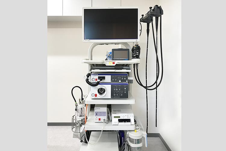 内視鏡検査システム